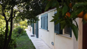 Villa François Torre Annunziata